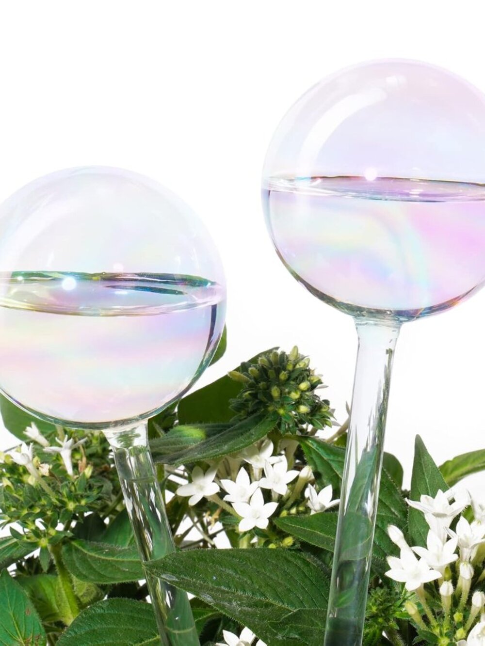 2Pcs Rainbow Glass Plant Watering Globes, Self Watering Spikes